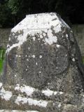 image of grave number 525020